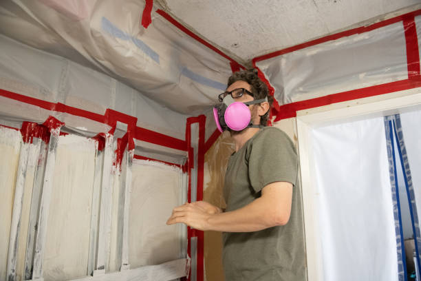 Best Biohazard Mold Removal  in The Village, OK