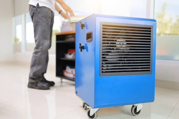 The Village, OK Mold Removal Company