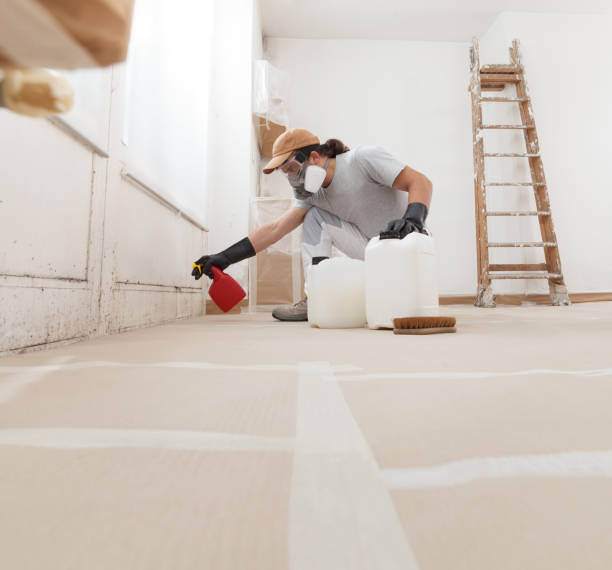 Best Mold Damage Restoration  in The Village, OK
